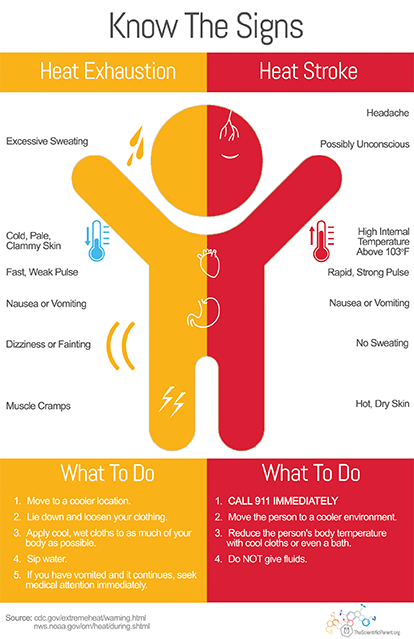 Children's Physicians Medical Group » Archive » Kids and heat